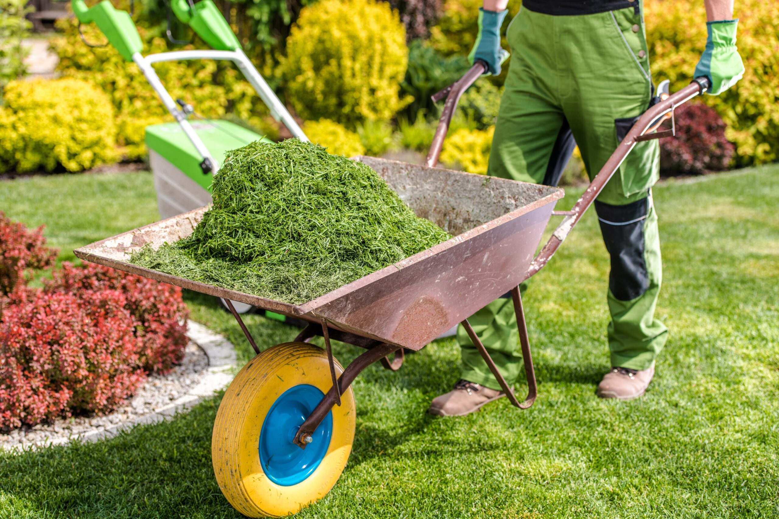 Removing Freshly Mown Grass