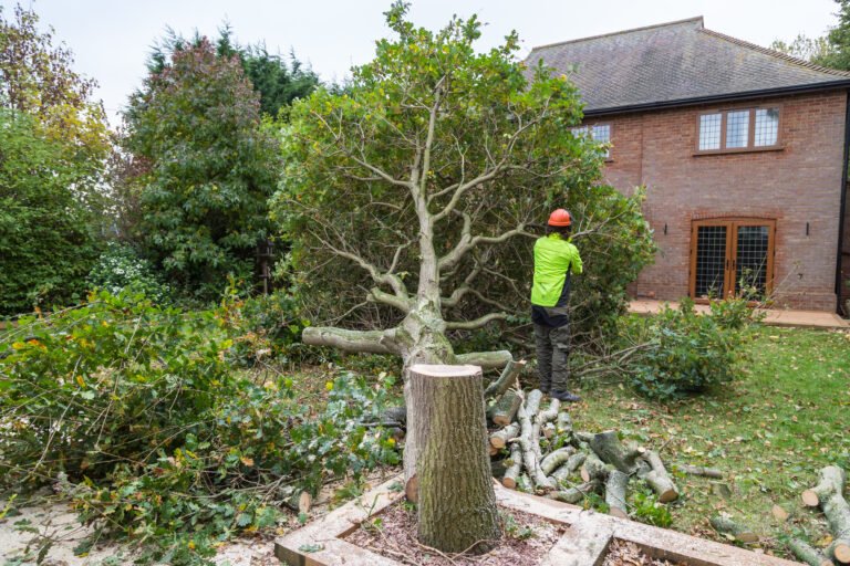 Amazing Gardeners - Gardening and Landscaping Services in Grays