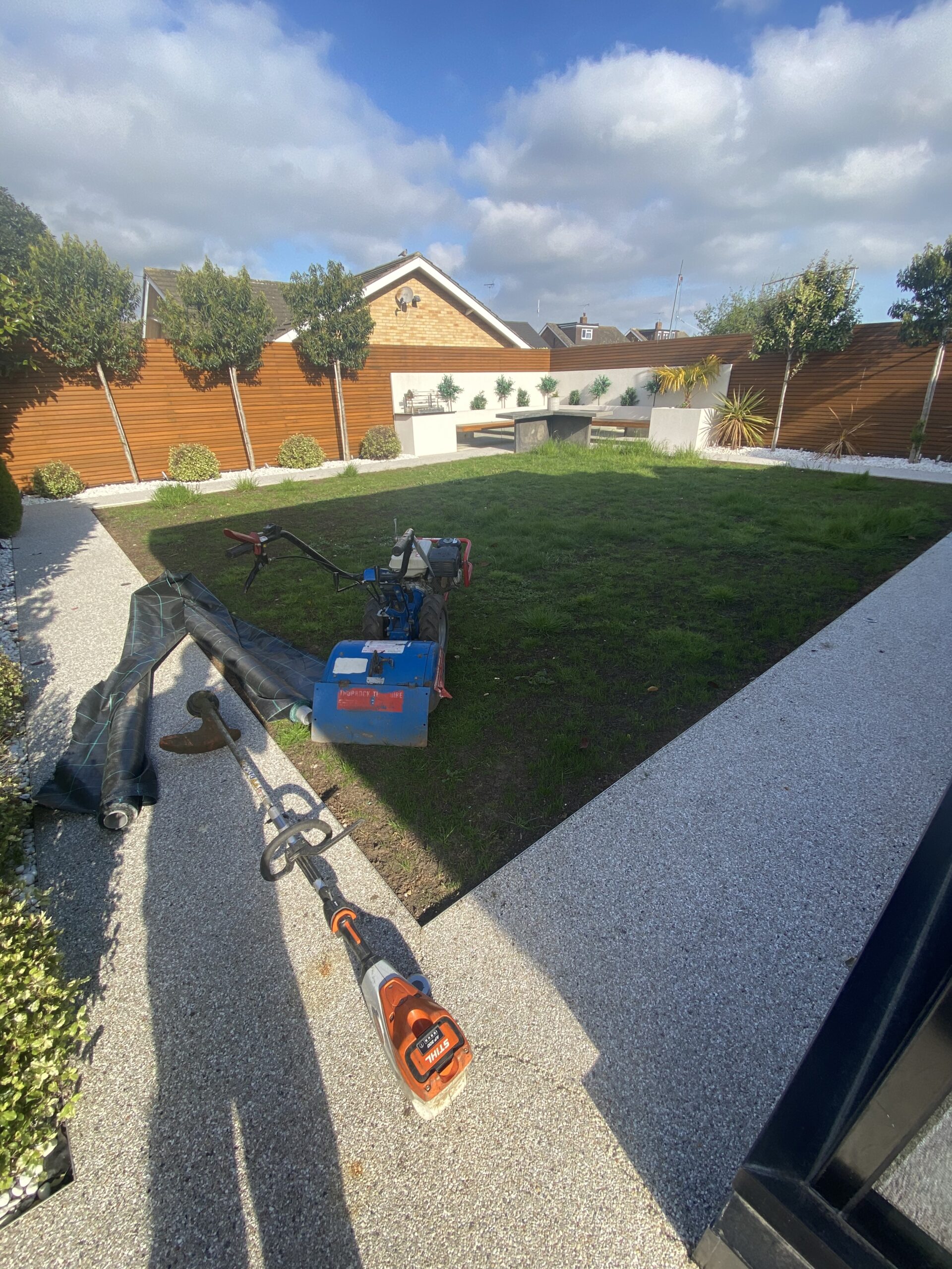 Turfing Grays Before (grays)