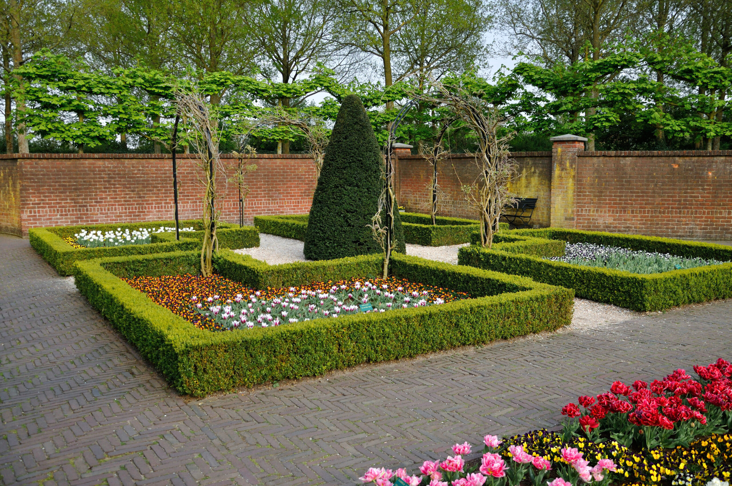 Garden,With,Small,Bushes,,White,,Orange,And,Red,Tulips,And