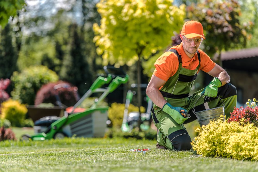 gardening in Grays