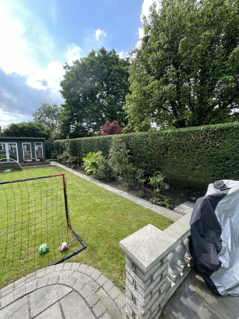 Tree Trimming in Basildon