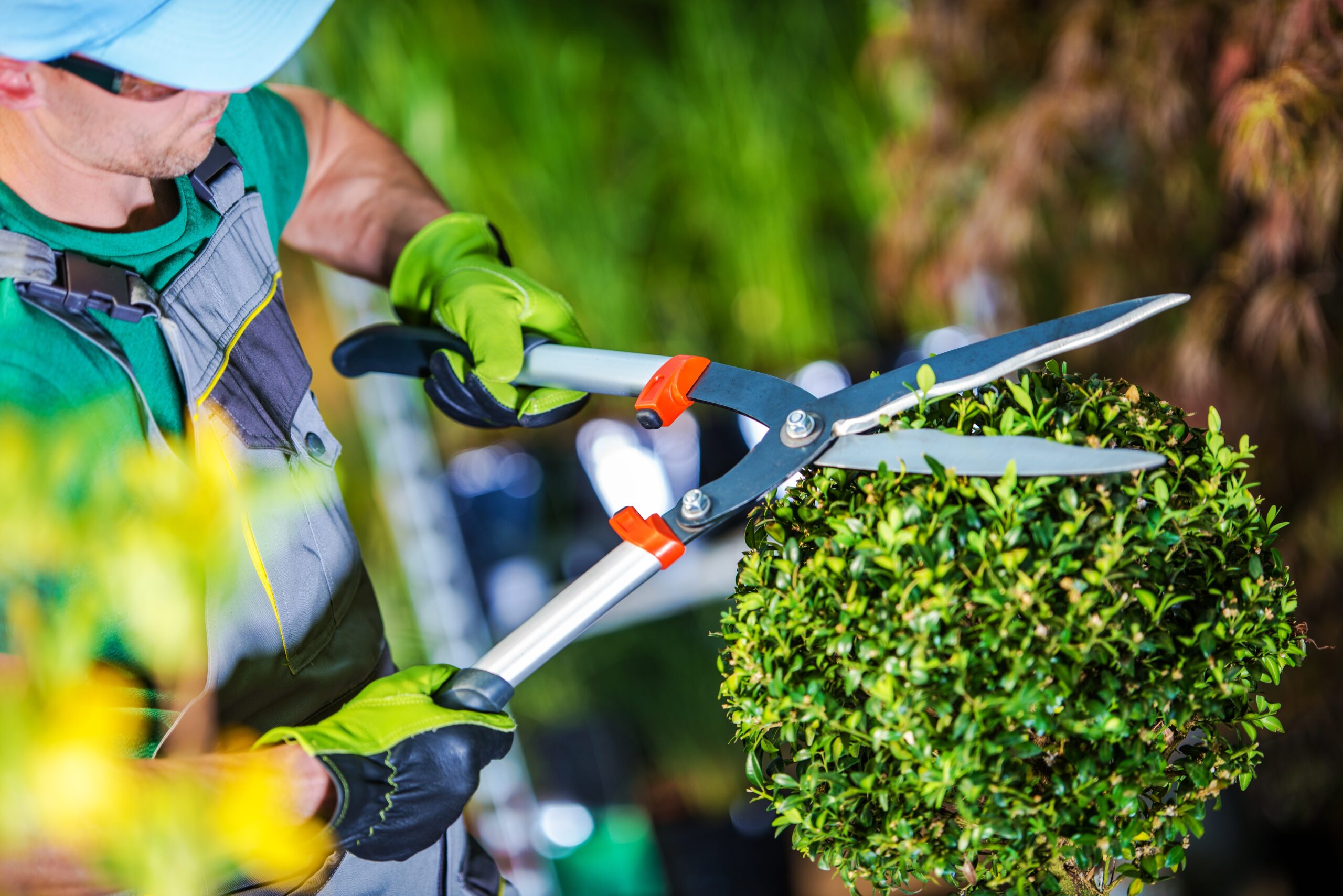 Gardener Trimming